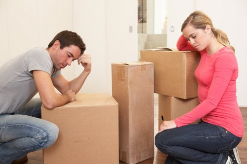 Fragile item protection for flat removals in Debeauvoirtown