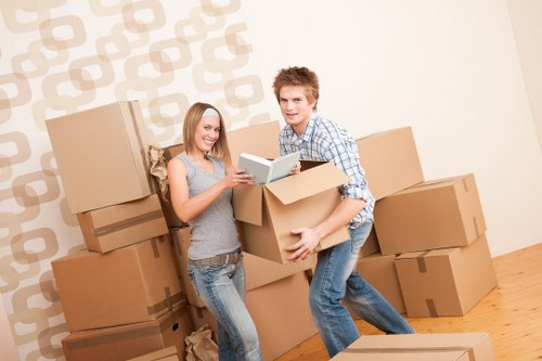 Packing supplies and organized apartment move preparation in Debeauvoirtown
